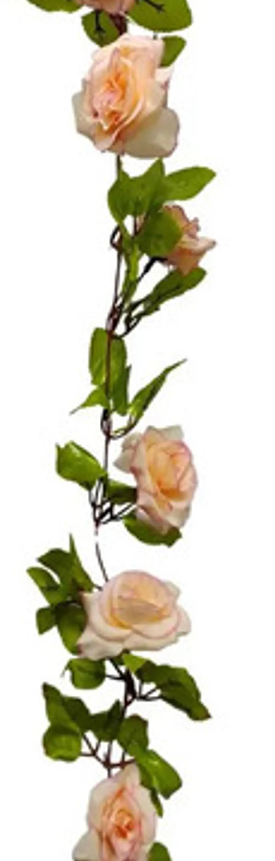 Enredadera Flor 1 Jardin 200cm Hoja Mata Rosas 16