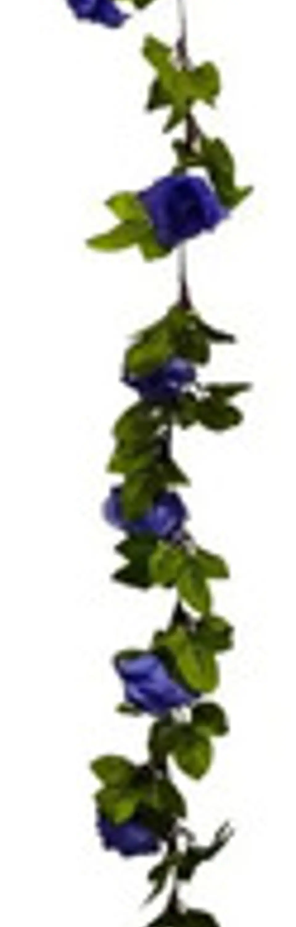 Enredadera Flor 1 Jardin 200cm Hoja Mata Rosas 18