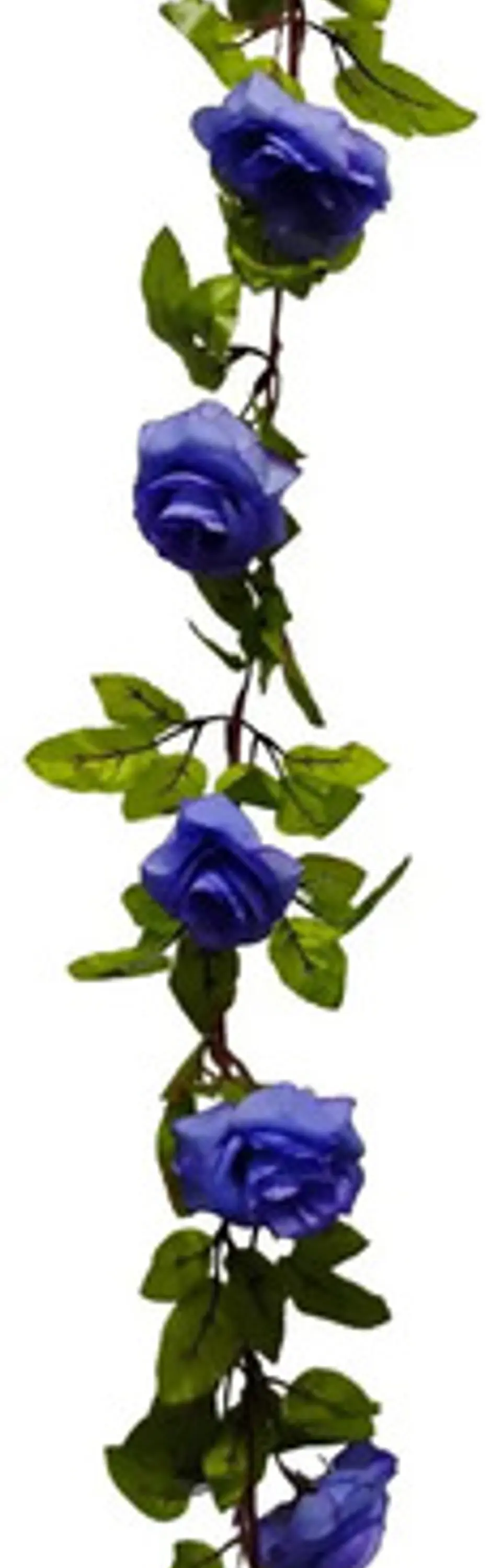 Enredadera Flor 1 Jardin 200cm Hoja Mata Rosas 19
