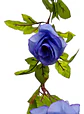 Enredadera Flor 1 Jardin 200cm Hoja Mata Rosas - Miniatura 20