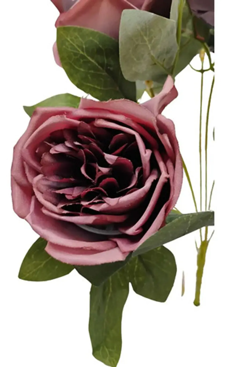 Matas Rosas Secas Flores Artificiales Decoración  10
