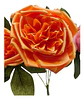 Matas Rosas Secas Flores Artificiales Decoración  - Miniatura 15