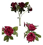 Matas Rosas Secas Flores Artificiales Decoración  - Miniatura 16