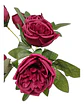Matas Rosas Secas Flores Artificiales Decoración  - Miniatura 18
