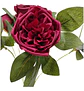 Matas Rosas Secas Flores Artificiales Decoración  - Miniatura 19