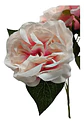 Matas Rosas Secas Flores Artificiales Decoración  - Miniatura 22