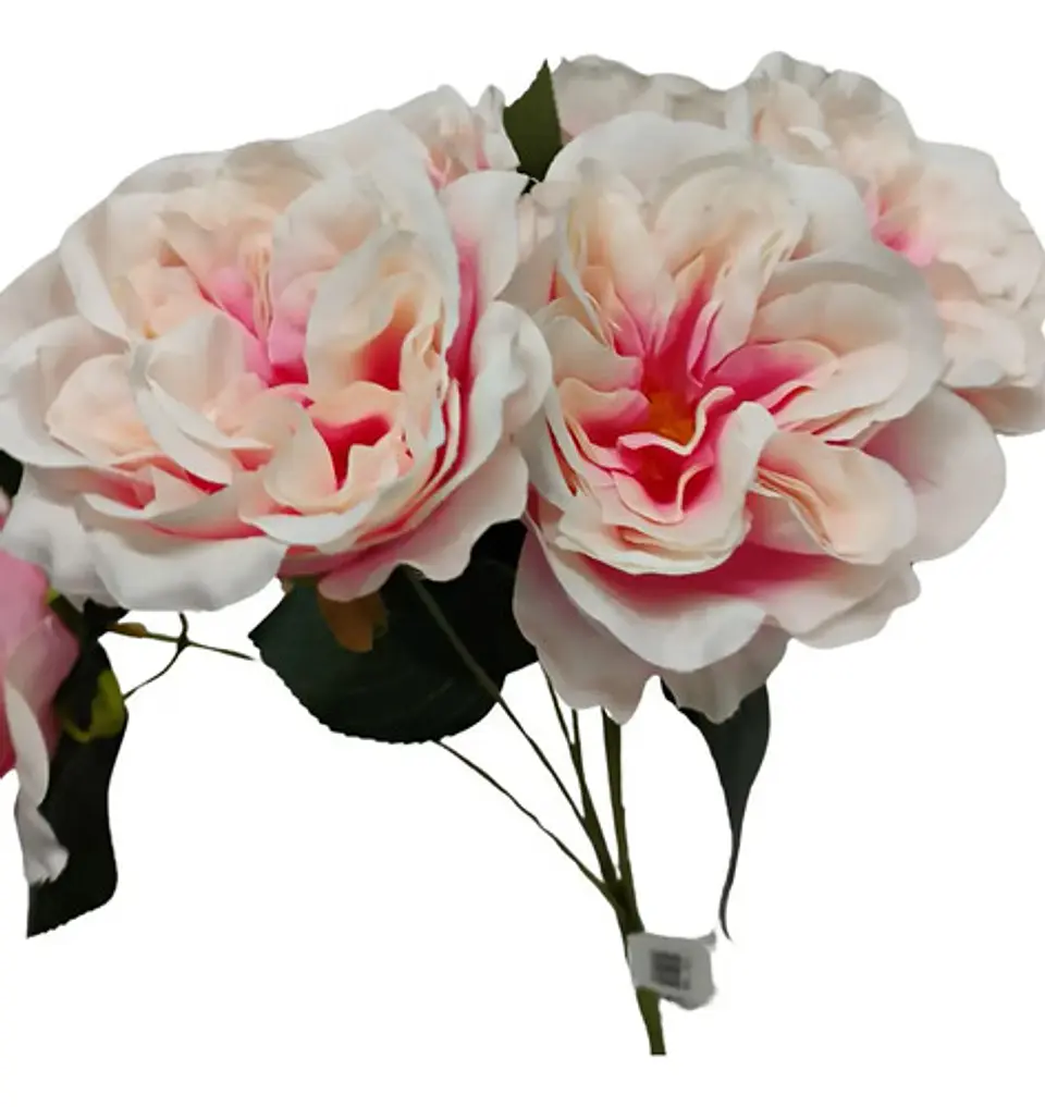 Matas Rosas Secas Flores Artificiales Decoración  23