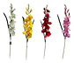 Gladiolas Flores Artificiales Vara Nardo  - Miniatura 1