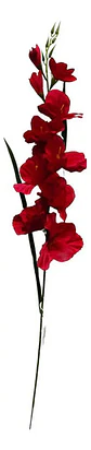 Gladiolas Flores Artificiales Vara Nardo  - Miniatura 2