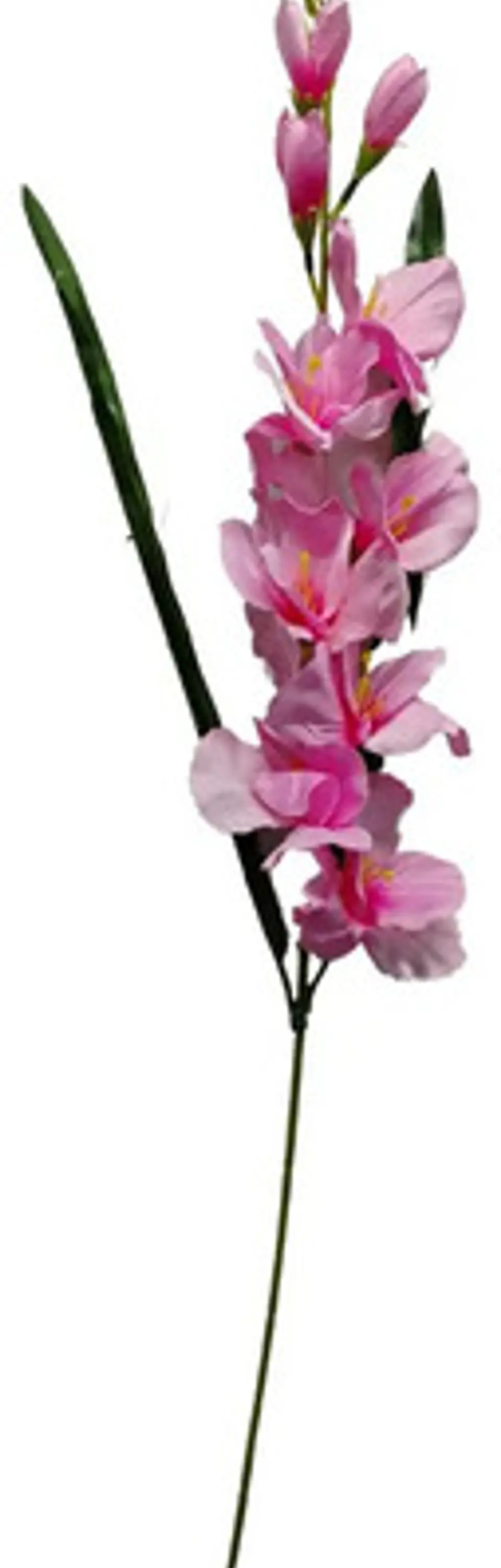Gladiolas Flores Artificiales Vara Nardo  3