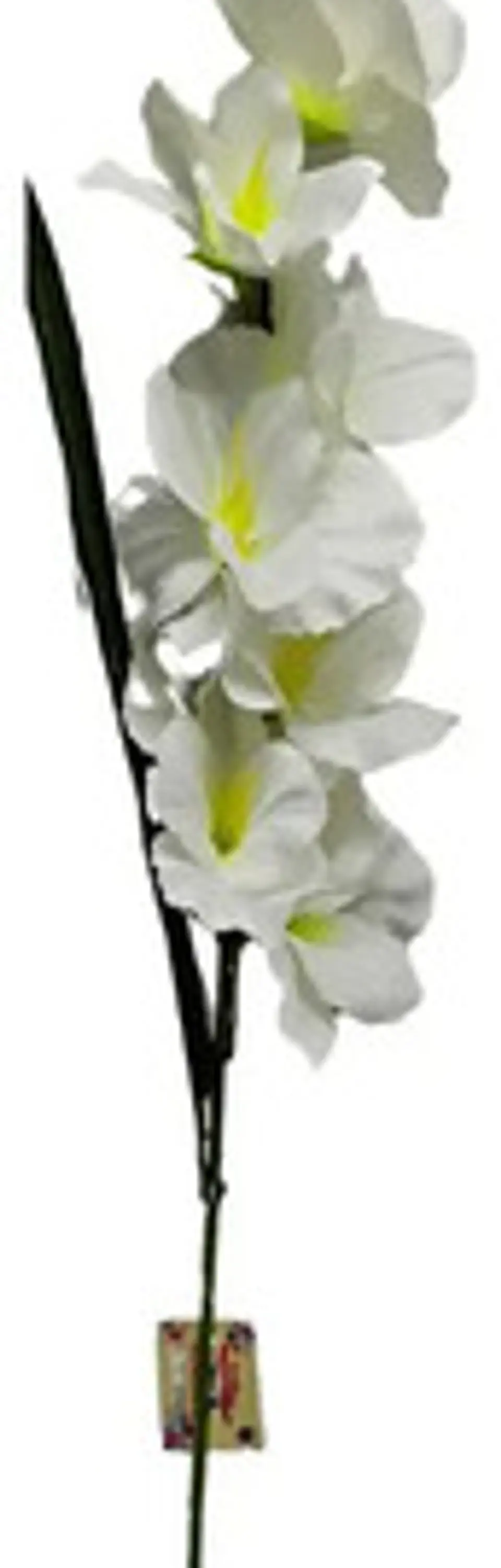 Gladiolas Flores Artificiales Vara Nardo  4