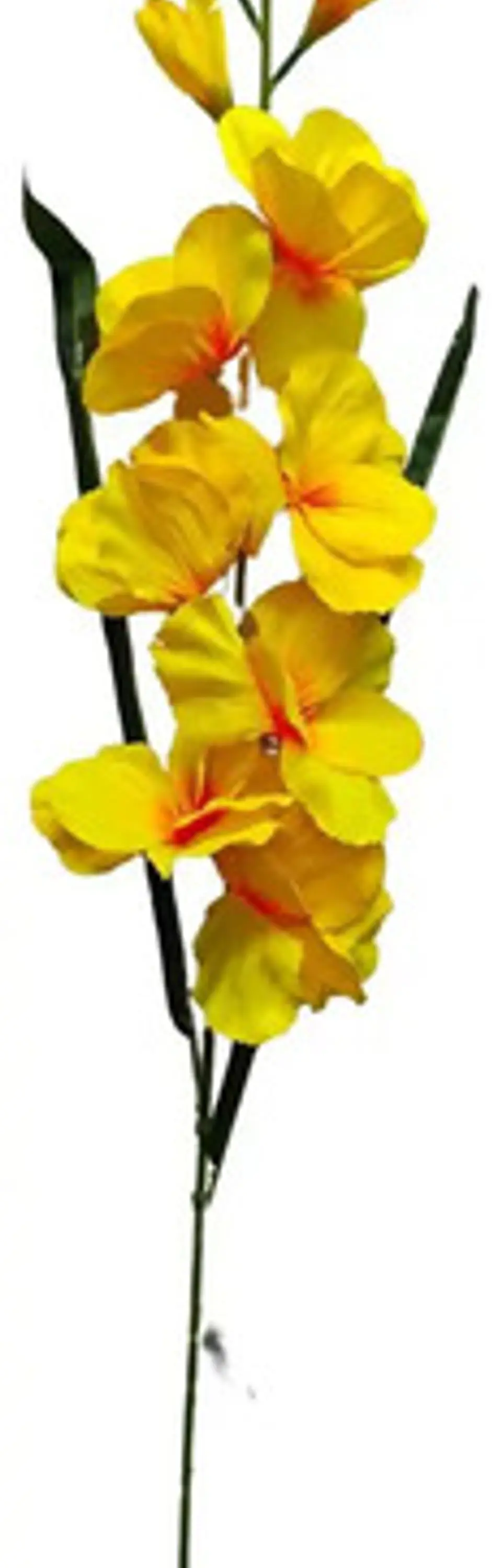 Gladiolas Flores Artificiales Vara Nardo  7