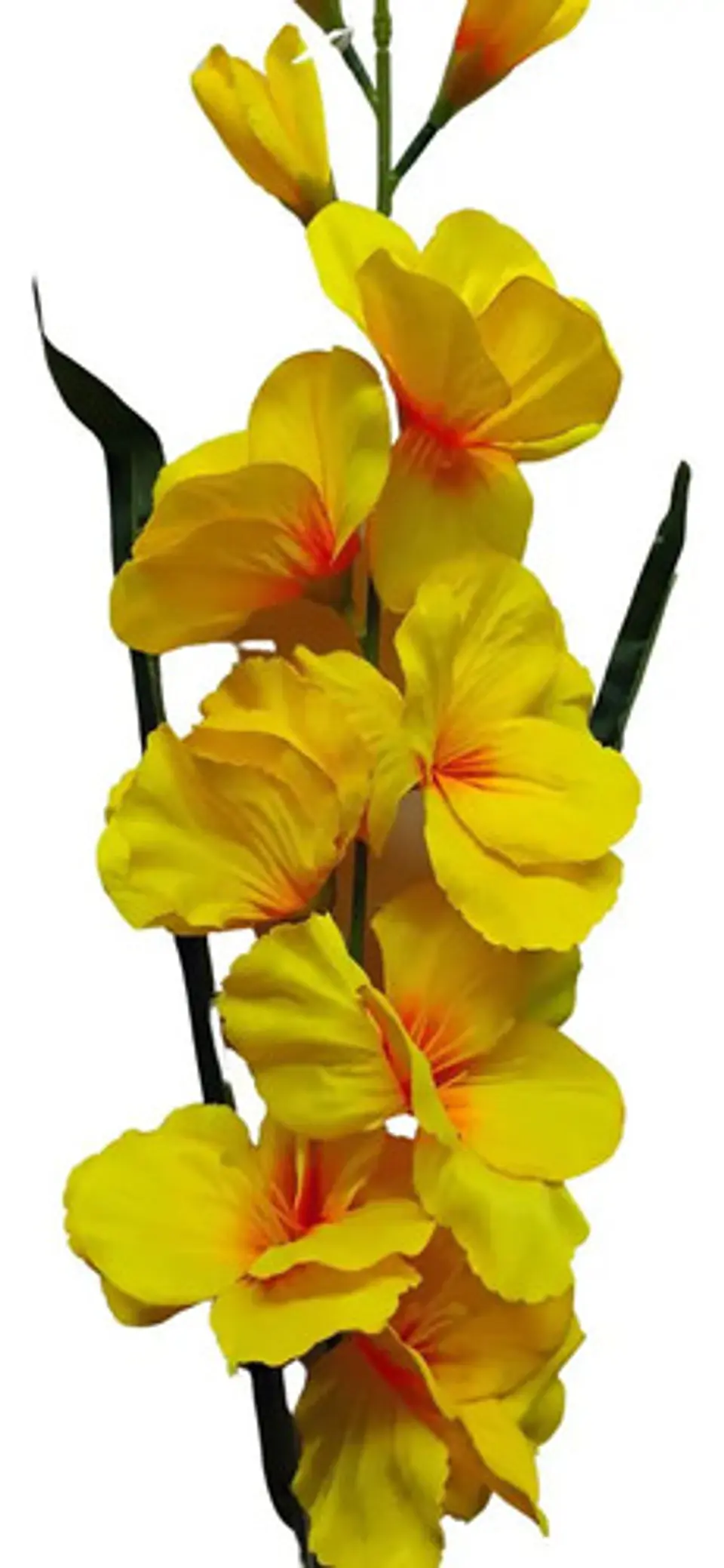 Gladiolas Flores Artificiales Vara Nardo  8