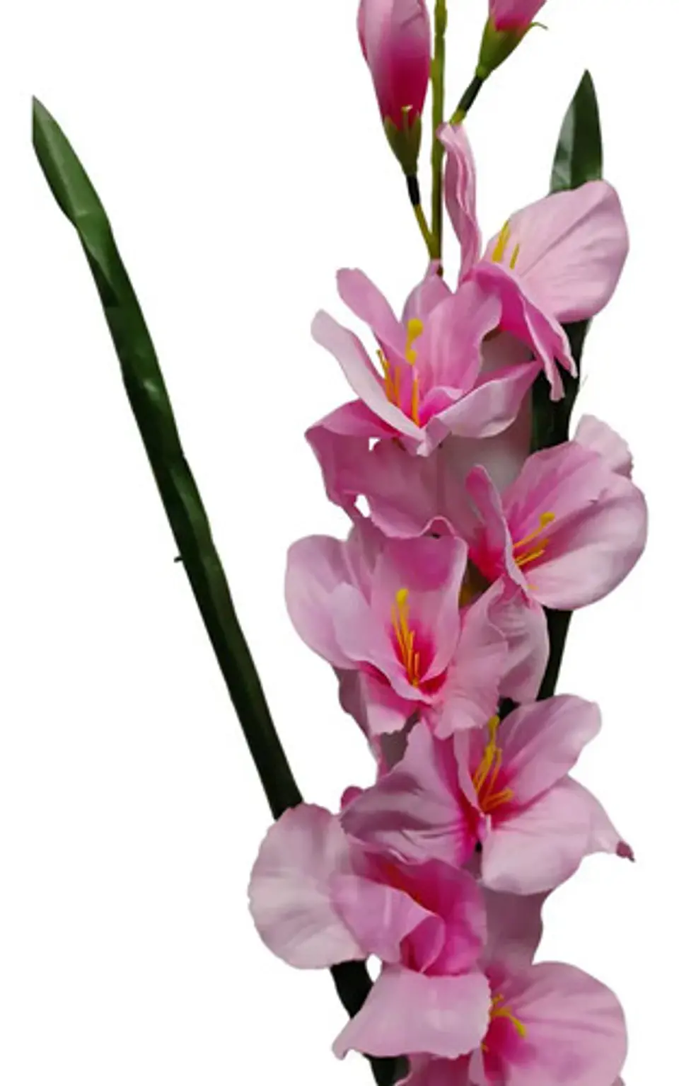 Gladiolas Flores Artificiales Vara Nardo  15