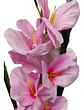 Gladiolas Flores Artificiales Vara Nardo  - Miniatura 16