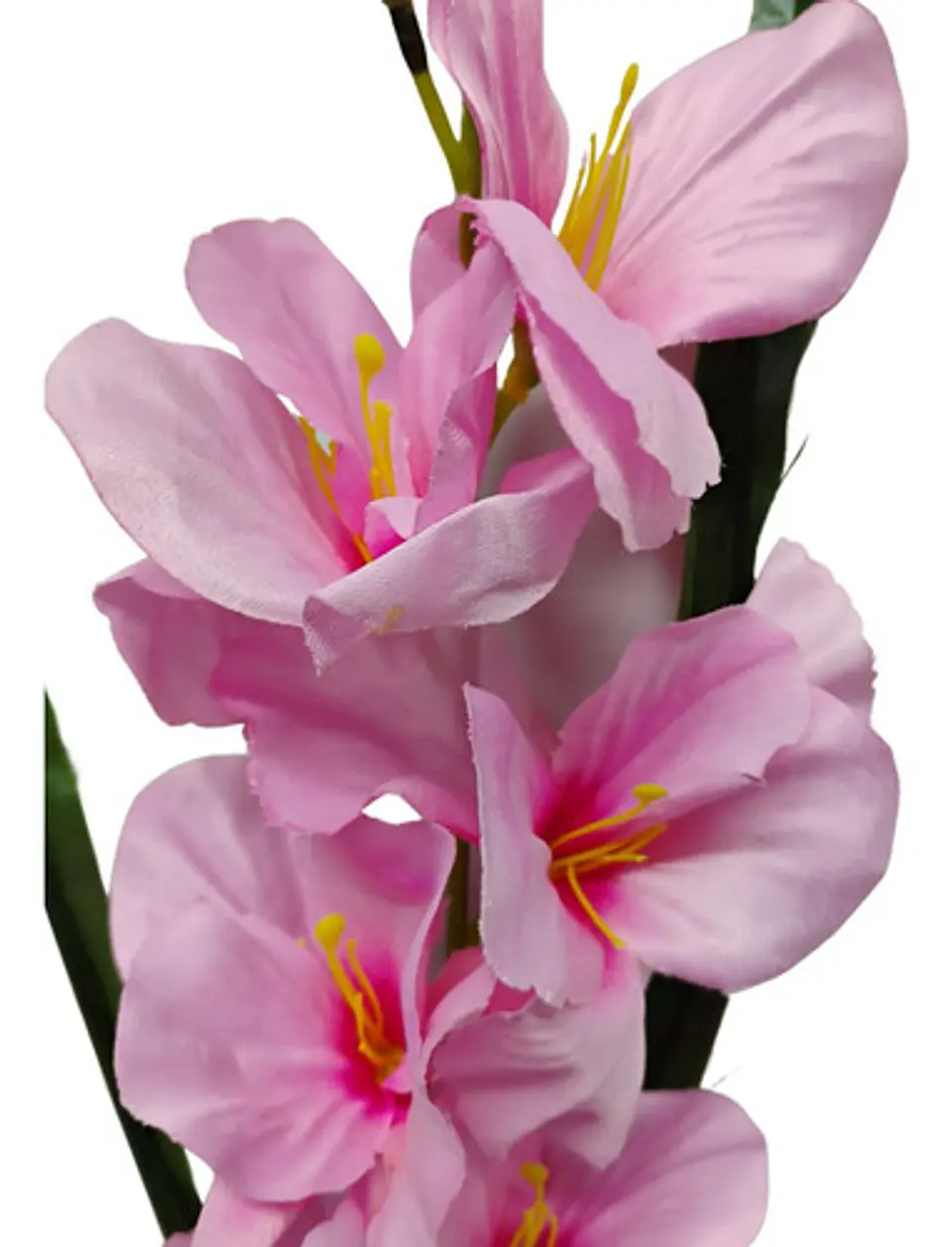 Gladiolas Flores Artificiales Vara Nardo  16