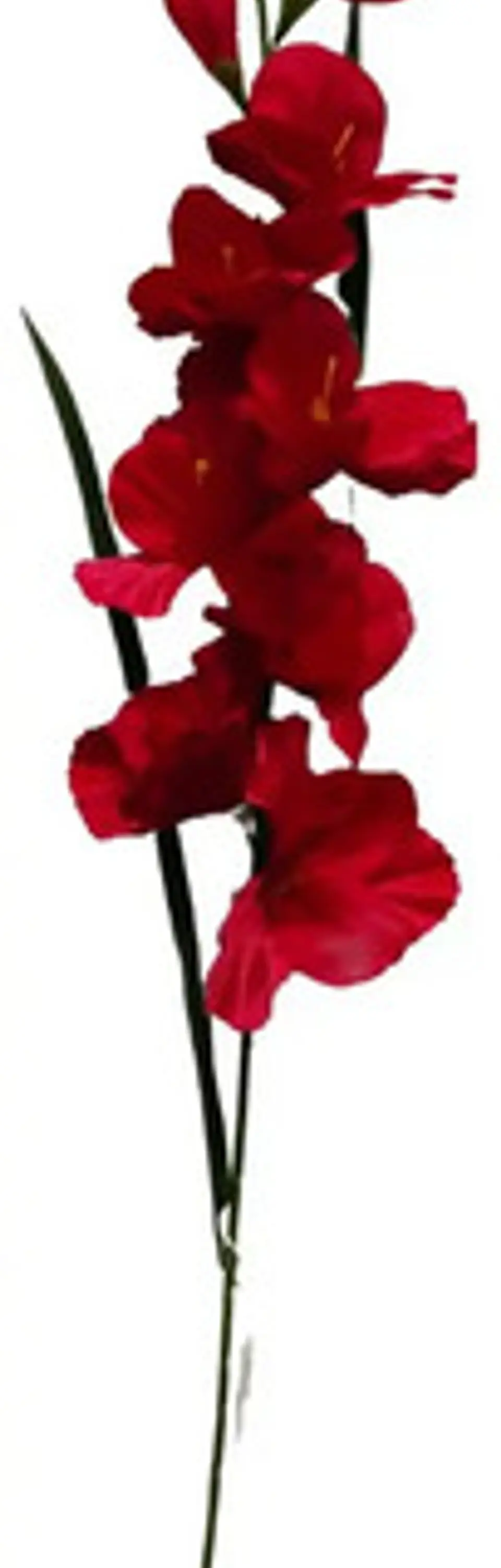 Gladiolas Flores Artificiales Vara Nardo  18