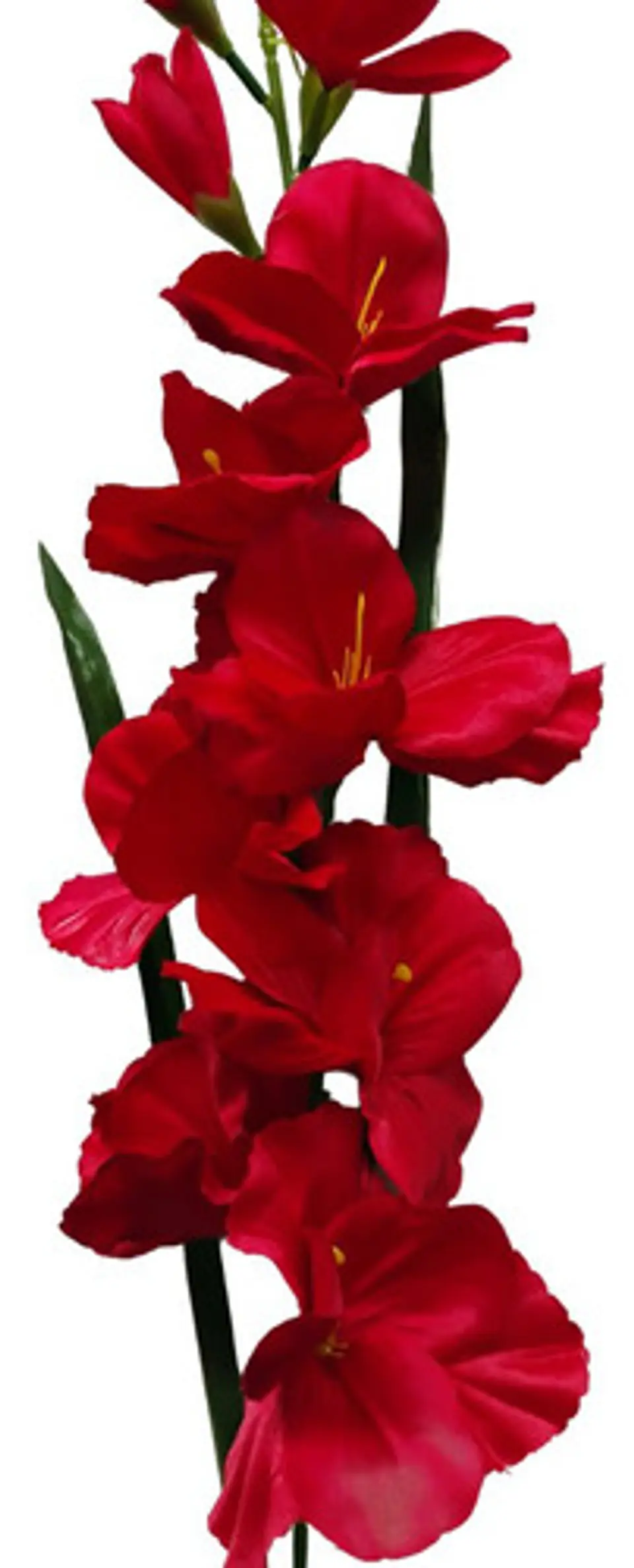 Gladiolas Flores Artificiales Vara Nardo  19