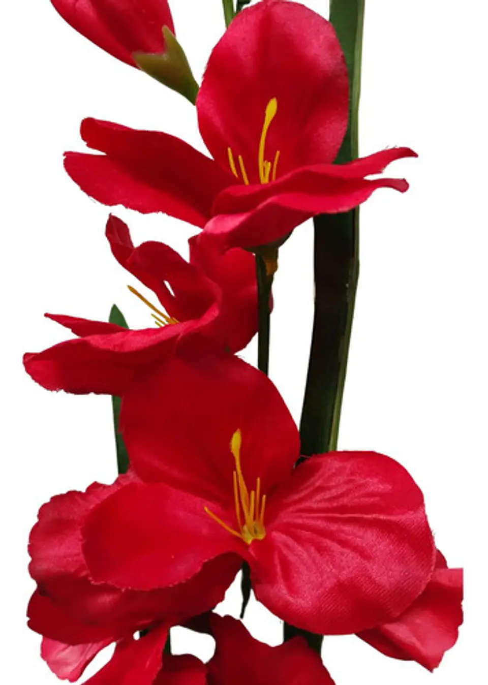 Gladiolas Flores Artificiales Vara Nardo  20
