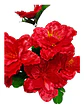 Ramo  Gervera Flores Artificiales Decoración - Miniatura 25