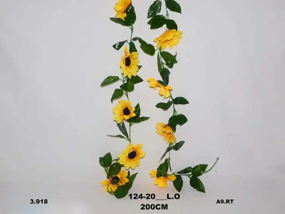 Enredadera Girasol 1 Paquete 200cm Mata Flores Rosas 3