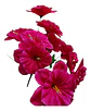 Flores Artificiales Ramo Dalia Rosas  - Miniatura 14