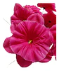 Flores Artificiales Ramo Dalia Rosas  - Miniatura 15