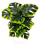 Balazo Jardines Matas Rosas Flores Artificiales Monstera - Miniatura 2