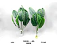 Plantas Artificiales De 80 Cm Alto, Hojas De Árbol - Miniatura 3