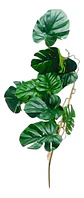 Mata De Hojas Costillade Adán Decorativas Artificiales Jardí - Miniatura 1