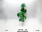 Mata De Hojas Costillade Adán Decorativas Artificiales Jardí - Miniatura 2