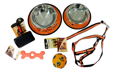 Kit Collar Lazo Platos De Comer Cepillo Pelota Y Juguete