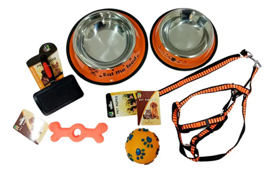 Kit Collar Lazo Platos De Comer Cepillo Pelota Y Juguete 1