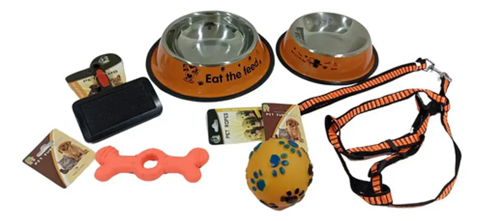 Kit Collar Lazo Platos De Comer Cepillo Pelota Y Juguete 2