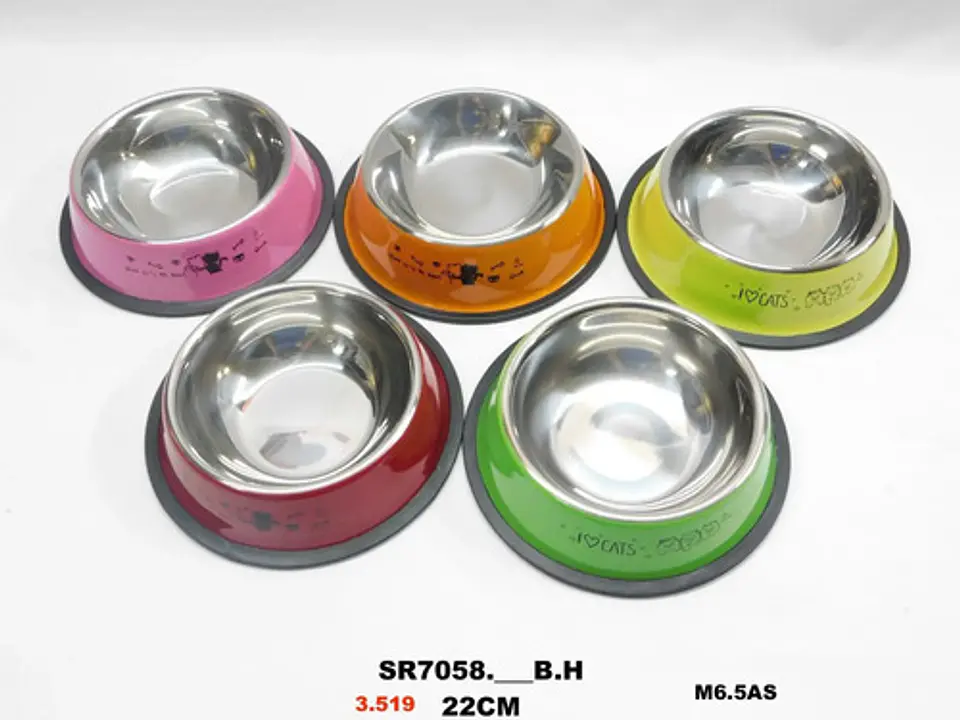 Kit Collar Lazo Platos De Comer Cepillo Pelota Y Juguete 5