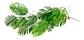 Planta Verde De Plástico Artificial, Pavo Real, Hoja Persa, - Miniatura 1
