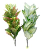 Ramas De Hojas Artificiales De Croton Para Plantas Mata - Miniatura 1