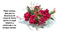 Papel Coreano Para Decoracion Regalo Para Flores 20 Pliegos - Miniatura 3