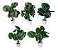 Planta Artificial Hojas Balazo Decoración X1 Und Jardines - Miniatura 1