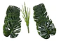 Planta Artificial Hojas Balazo Decoración X1 Und Jardines - Miniatura 4