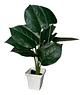 Planta Artificial Hojas Balazo Decoración X1 Und Jardines - Miniatura 7