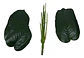 Planta Artificial Hojas Balazo Decoración X1 Und Jardines - Miniatura 8