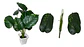 Planta Artificial Hojas Balazo Decoración X1 Und Jardines - Miniatura 9