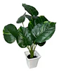 Planta Artificial Hojas Balazo Decoración X1 Und Jardines - Miniatura 11