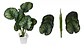 Planta Artificial Hojas Balazo Decoración X1 Und Jardines - Miniatura 15