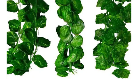 Enredadera 1 Paquete X 12und De210 Cm Hoja Mata Fina Grande 
