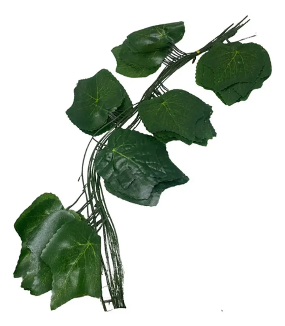 Enredadera 1 Paquete X 12und De210 Cm Hoja Mata Fina Grande  2