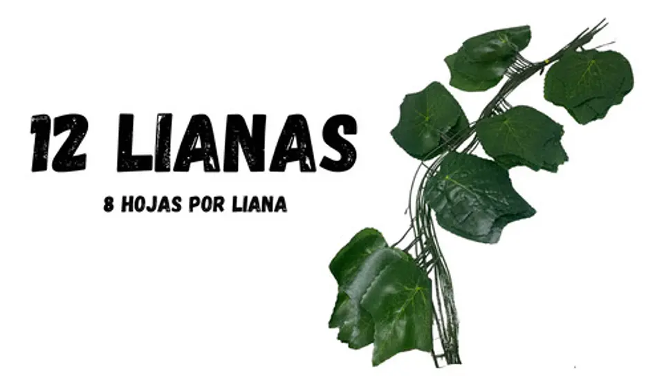 Enredadera 1 Paquete X 12und De210 Cm Hoja Mata Fina Grande  3