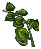 Enredadera 1 Paquete X 12und De210 Cm Hoja Mata Fina Grande  - Miniatura 4