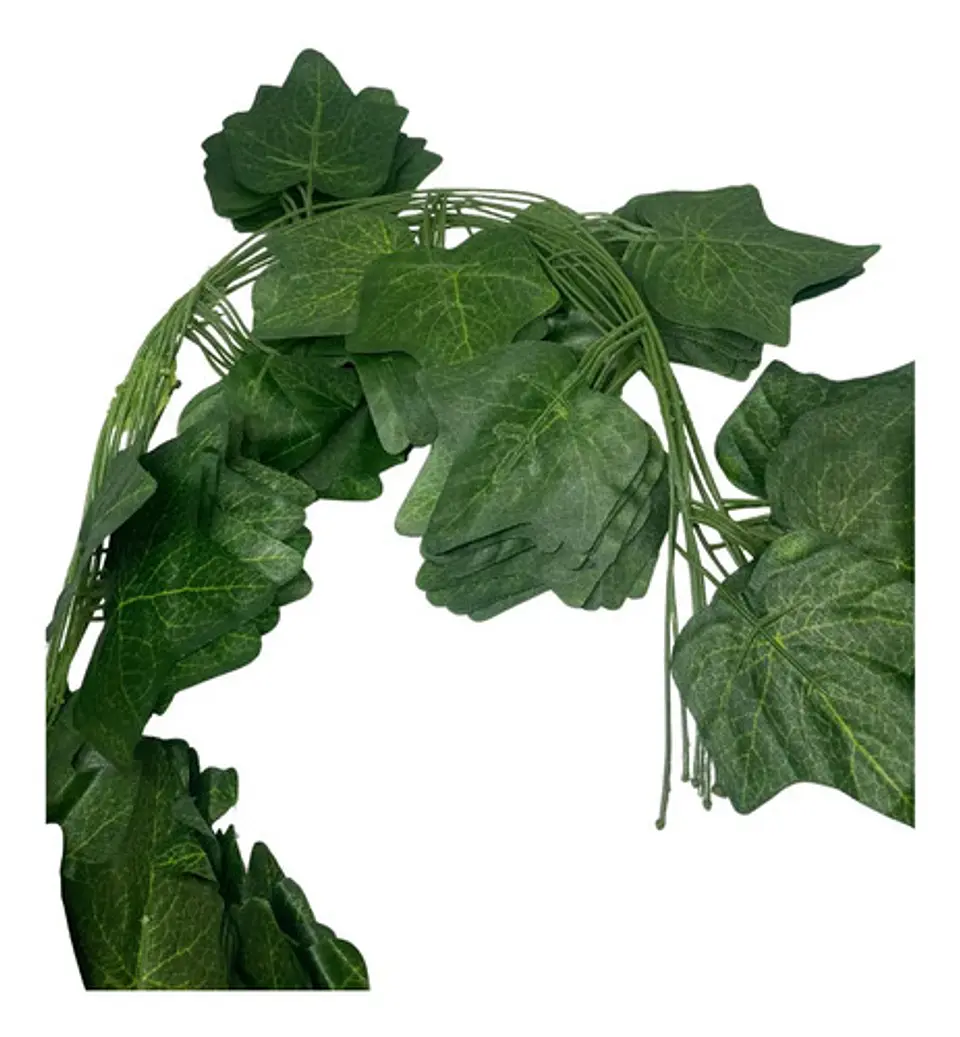 Enredadera 1 Paquete X 12und De210 Cm Hoja Mata Fina Grande  7